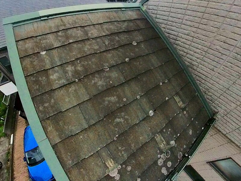 こちらは屋根についたコケが乾いて丸い模様になっています。